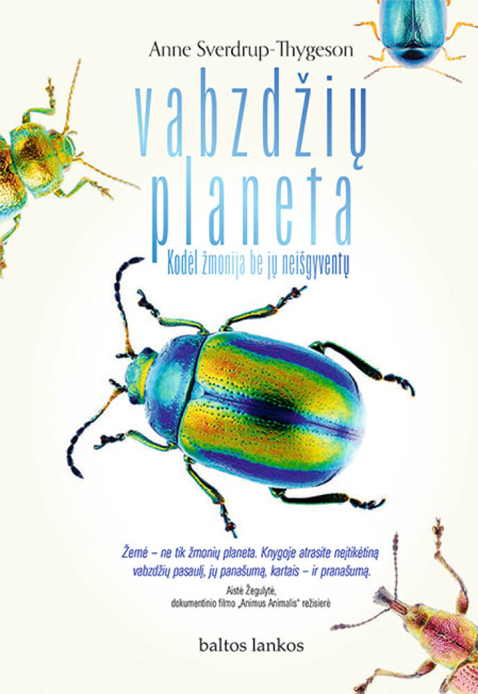 Plotis:1980