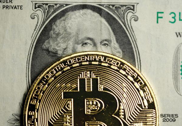 bitkoinų valia geriausia piniginė visoms kriptovaliutoms