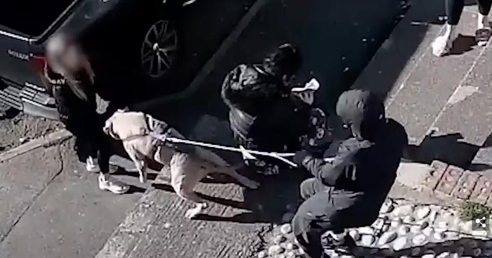 Šuo puola praeivius. --