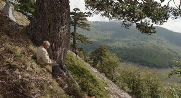 Il poetico film-foto “La Grotte” mescola le profondità della natura e la vita dei pastori di montagna.  Alfa.lt