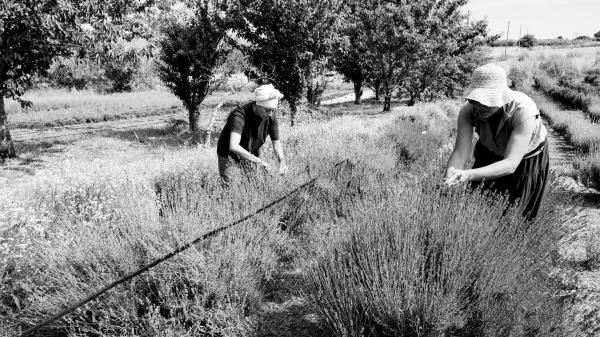 Mostra “Storie di terra e di acqua” della fotografa italiana Michela Petrocchi.  Alfa.lt