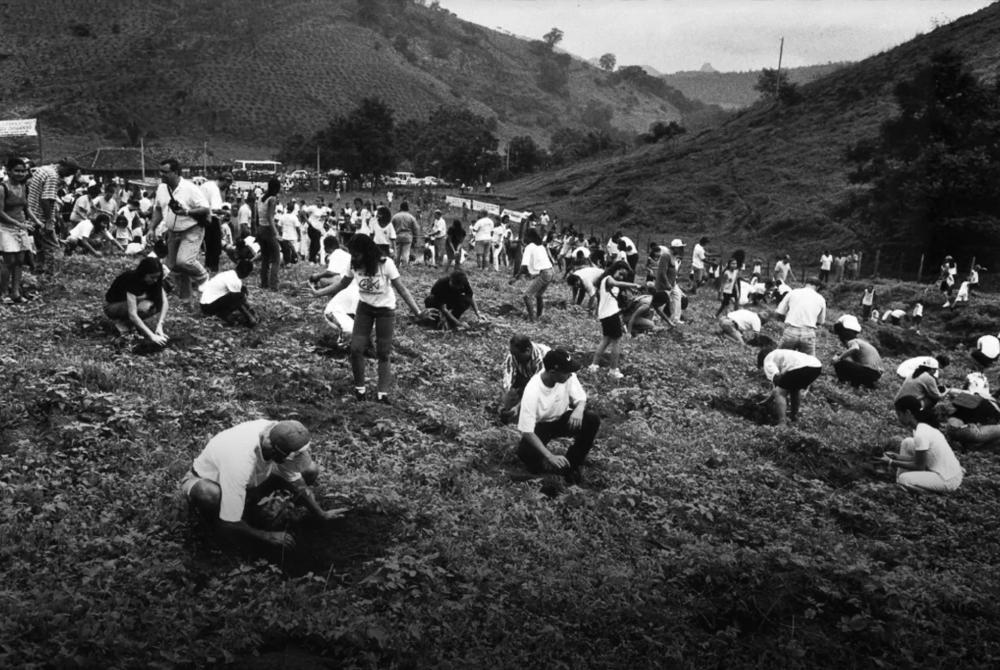 Miškų atsodinimo darbų pradžia. 1999 metai -- Sebastião Salgado / Instituto Terra