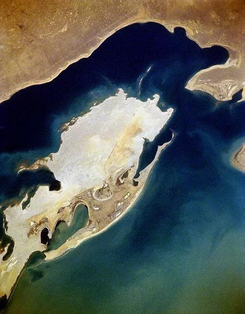 Vozroždenije sala 1994 m. -- NASA