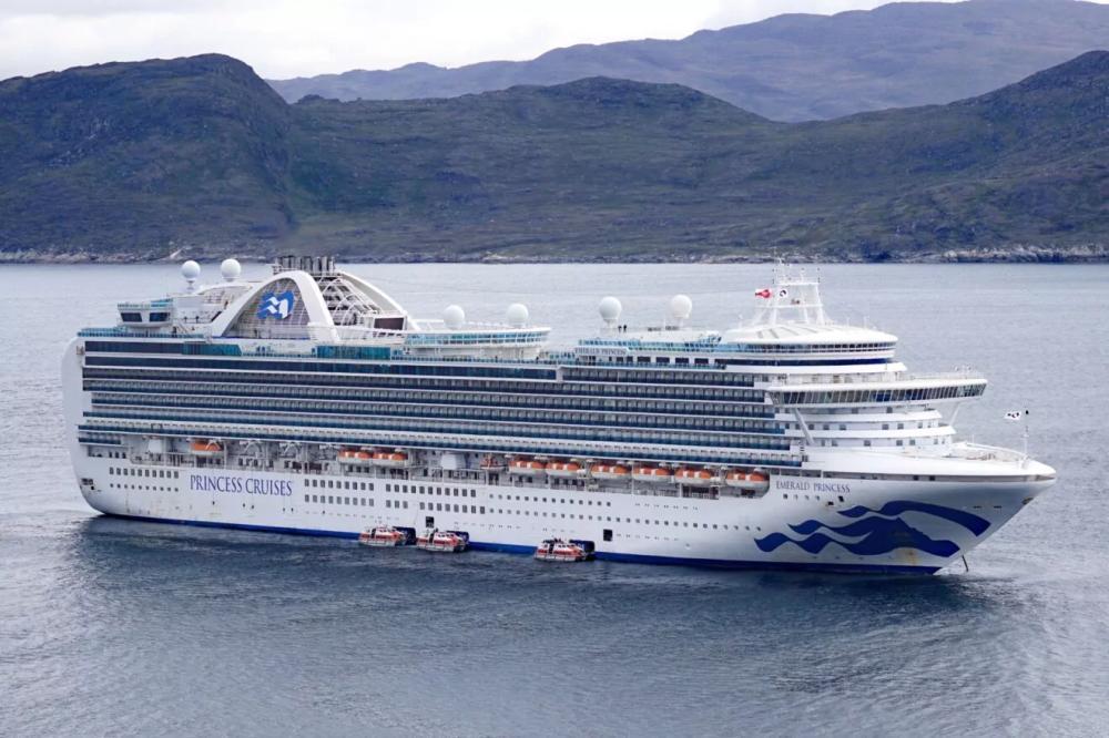 „Emerald Princess“ laineris -- Bendrovė